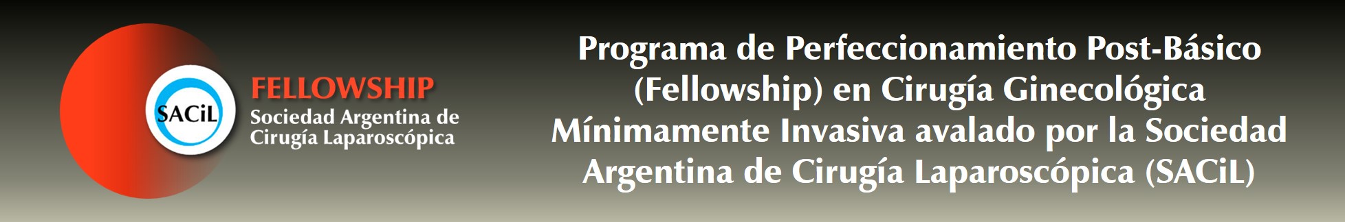 Banner Fellowship