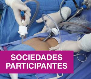 Sociedades Participantes