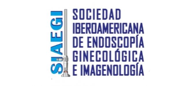 Sociedad Iberoamericana de Endoscopía Ginecológica e Imagenología (SIAEGI)